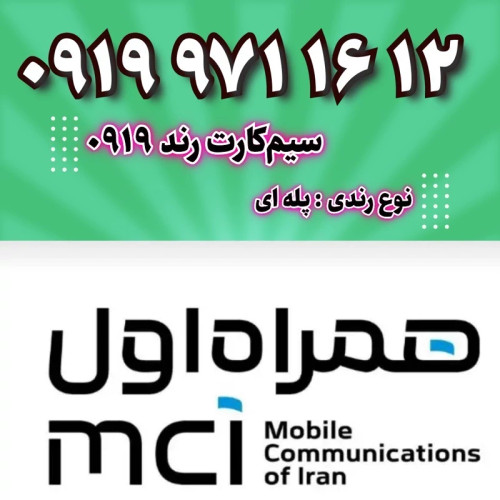 12 16 971 0919